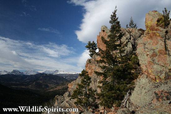 Click Picture to send as an  E-PostCard 58k 550x367